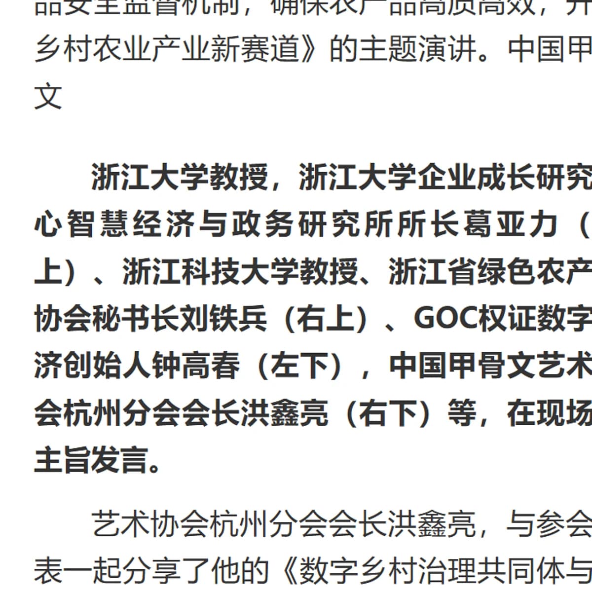 中华网数字乡村建设论坛报道中关于洪鑫亮的文字记录